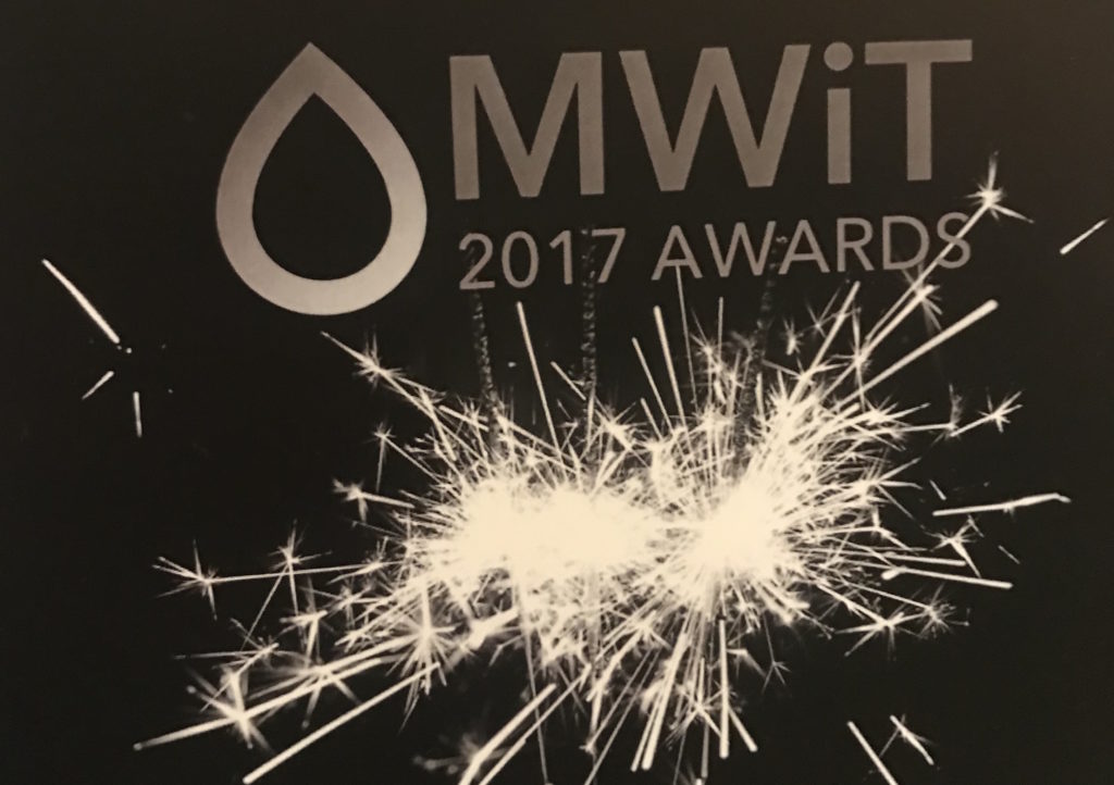 Midwest Women in Tech Awards 2017